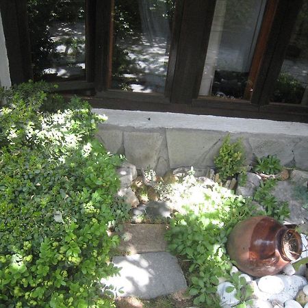 Guest House Voyno Dobriniste Kültér fotó