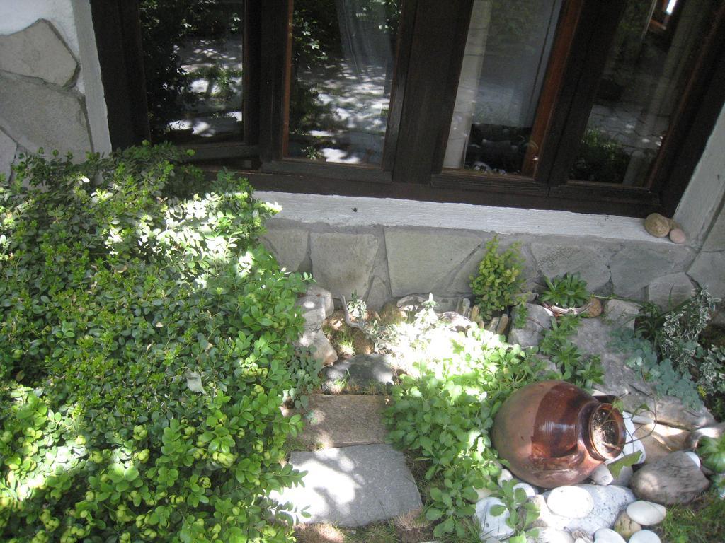 Guest House Voyno Dobriniste Kültér fotó